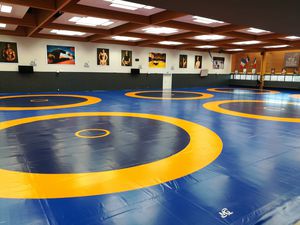 tapis de lutte