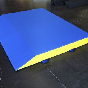 tapis d'évolution professionnel 1