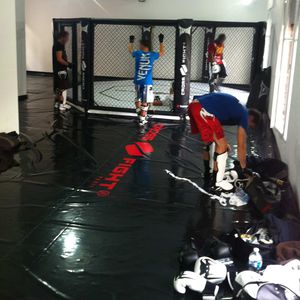 tapis de lutte 1