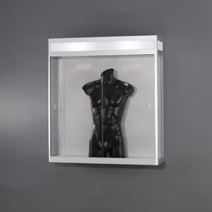 vitrine contemporaine 1