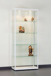vitrine contemporaine / en verre / en bois / aluminium