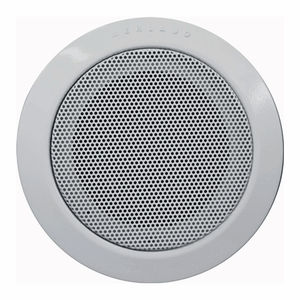 enceinte de plafond