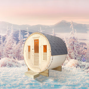 sauna finlandais