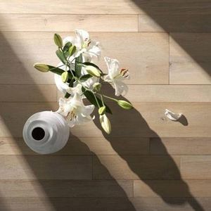 parquet massif 1