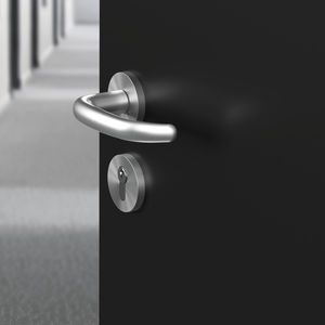 poignée pour porte 1