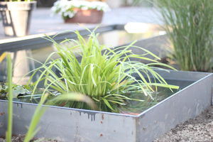 bassin de jardin