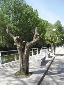 banc public contemporain 1