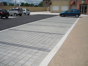 pavé en béton 1