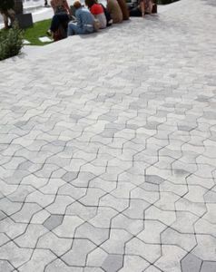 pavé en béton 1