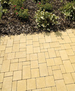 pavé en béton 1