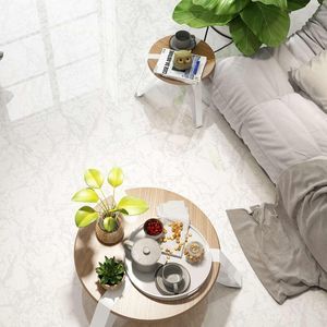 carrelage en porcelaine 1