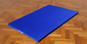 tatami pour gymnase