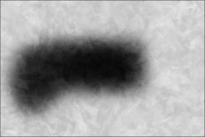 tapis contemporain 1