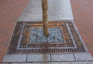 grille d'arbre carrée