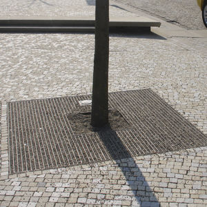 grille d'arbre carrée