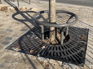 grille d'arbre carrée