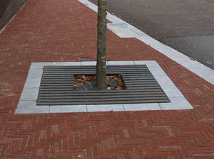 grille d'arbre carrée