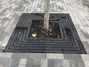 grille d'arbre carrée
