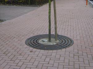 grille d'arbre ronde