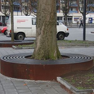 bordurette d'arbre