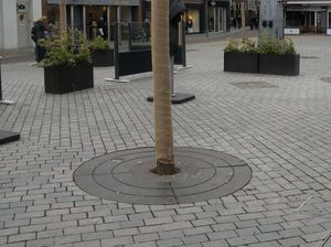 grille d'arbre ronde