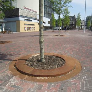 bordurette d'arbre