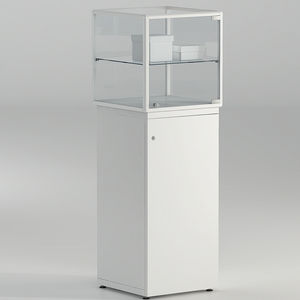 vitrine contemporaine 1