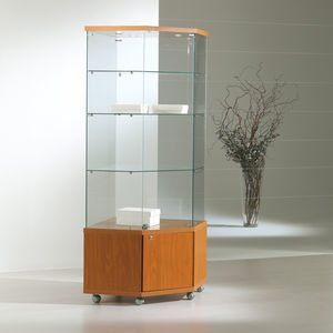 vitrine contemporaine 1