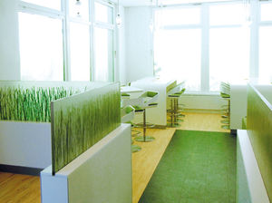 panneau décoratif en plastique / pour agencement intérieur / translucide / professionnel