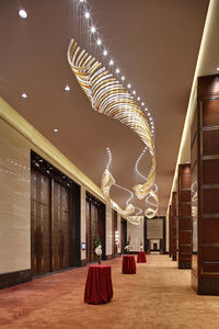 lustre contemporain 1