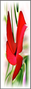 impression sur verre