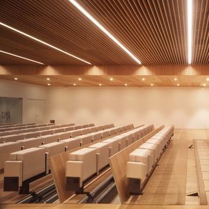 faux-plafond en bambou