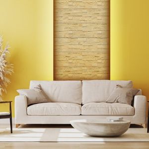revêtement mural pour intérieur