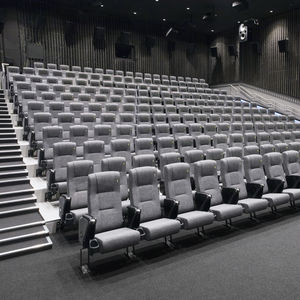 fauteuil de cinéma en cuir 1