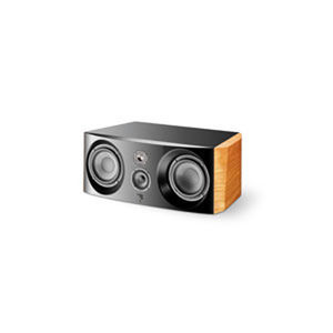 enceinte centrale 1
