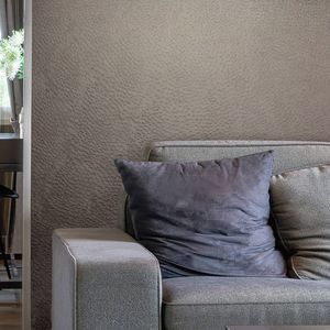 revêtement mural pour intérieur 1