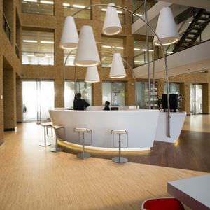 parquet massif 1