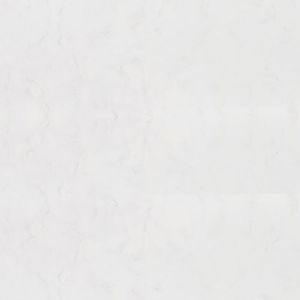 plan de travail en Solid Surface / en marbre / professionnel / d'extérieur