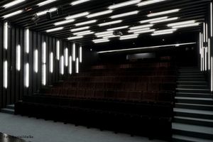 panneau décoratif en Valchromat® / pour faux-plafond / mural