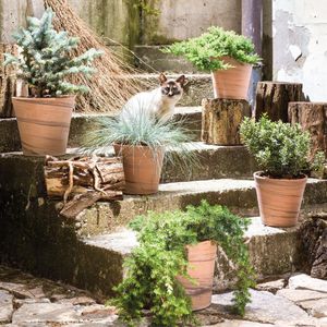 pot de jardin en terracotta