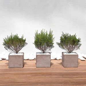 pot de jardin en terracotta