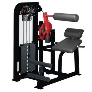 appareil de musculation extension du dos