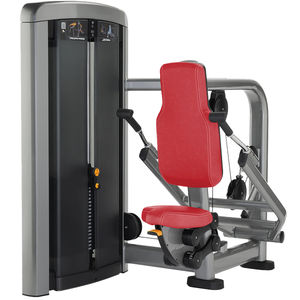 appareil de musculation dips 1