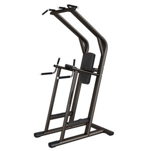 appareil de musculation dips 1