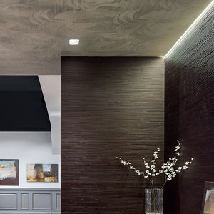 downlight encastré 1
