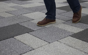 pavé en béton 1