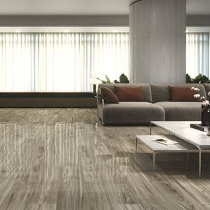carrelage en porcelaine 1