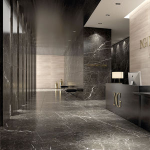 carrelage en porcelaine 1