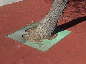 grille d'arbre carrée