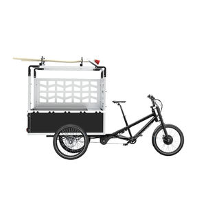 véhicule électrique 1